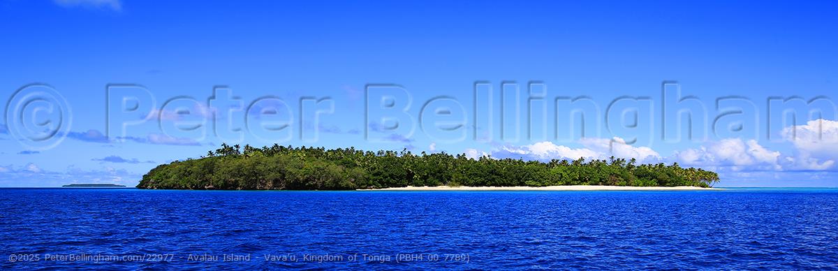 Peter Bellingham Photography Avalau Island - Vava’u, Kingdom of Tonga (PBH4 00 7789)